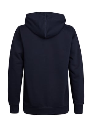 Petrol Industries - Jongens Artwork hoodie Wenatchee - Blauw