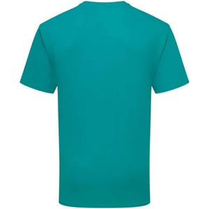 Fruit Of The Loom Heren Ringgesponnen Premium T-Shirt (Ocean Teal)