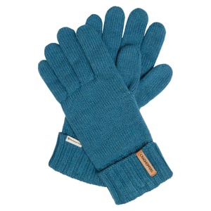 Craghoppers Volwassen uniseks National Trust Gaddings Winterhandschoenen (Blauw)