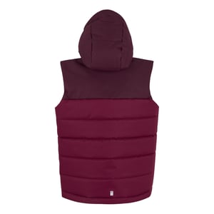 Regatta Lofthouse Body Warmer för barn/ungdomar (Fikon/Mörk Pimento)