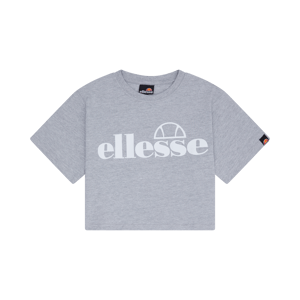 Silo Cropped T-Shirt