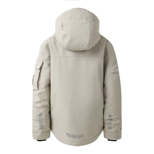 Dare 2B Shredder Ski-jas voor kinderen (Abbeystone)