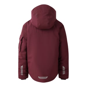 Dare 2B Childrens/Kids Shredder Ski Jacket (Fig)