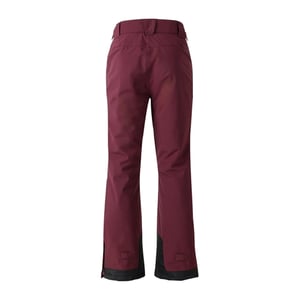 Dare 2B Mens Baseplate II Ski Trousers (Fig)