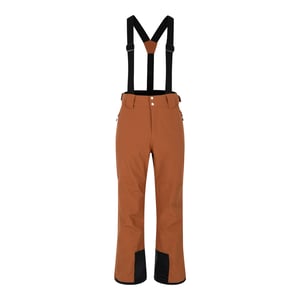 Dare 2B Mens Achieve II Ski Trousers (Mocha Bisque)