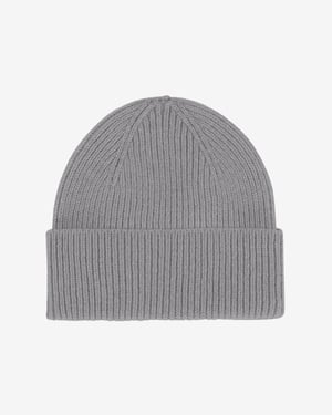 Merino Wool Beanie Beanie in Grey