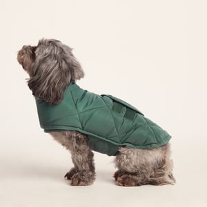 Fido Padded Dog Coat XS - Racing Green