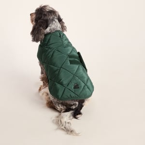 Fido Padded Dog Coat M - Racing Green