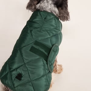 Fido Padded Dog Coat M - Racing Green