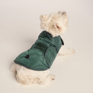 Fido Padded Dog Coat S - Racing Green