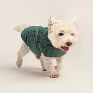 Fido Padded Dog Coat S - Racing Green