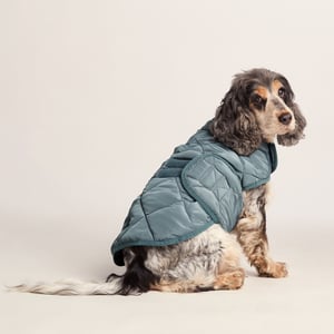 Fido Padded Dog Coat M - Graphite