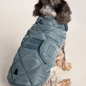 Fido Padded Dog Coat M - Graphite