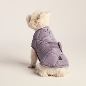 Fido Padded Dog Coat S - Dusky Lilac