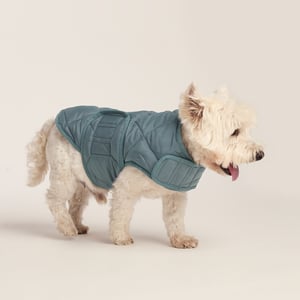 Fido Padded Dog Coat S - Graphite