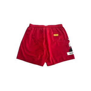 Tweety Sylvester Zwemboxers
