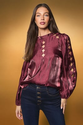 Long Sleeve Cut Work Blouse