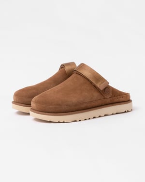 Goldenstar Clog in Brown