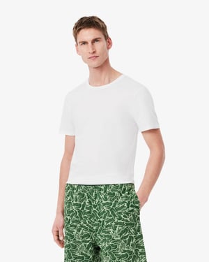 T-Shirts in White (3 Pack)