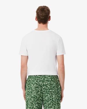 T-Shirts in White (3 Pack)