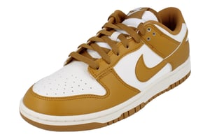 Nike Dunk Low Retro Herrskor