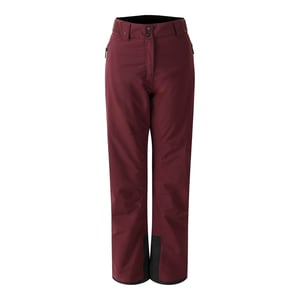 Regatta Womens/Ladies Ice Ski Trousers (Fig)