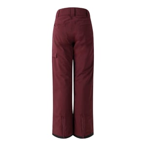 Regatta Womens/Ladies Ice Ski Trousers (Fig)