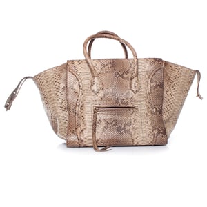 Celine Phantom Luggage tote in python leather