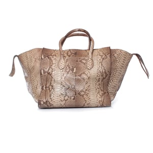 Celine Phantom Luggage tote in python leather