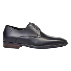 Floris van Bommel Sfm-30295