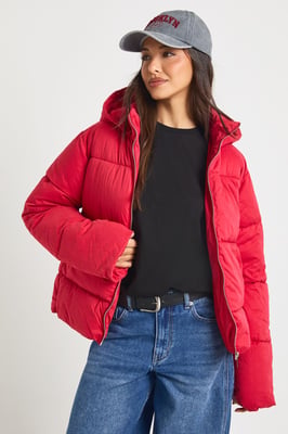 Hooded Puffer