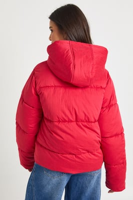 Hooded Puffer