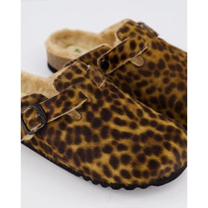 Scholl Dames fae new f