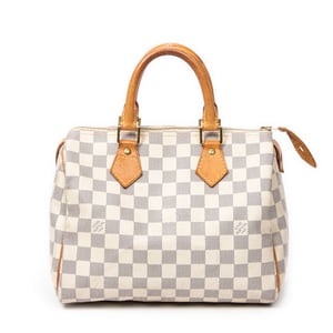 Speedy 25 Handbag
