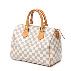 Speedy 25 Handbag