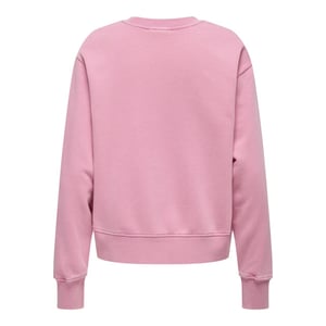Only Onllucinda bow ls o-neck box swt -