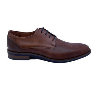 Van Lier 2518660