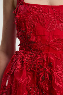 Archive Embroidered Applique Organdie Woven Prom Dress