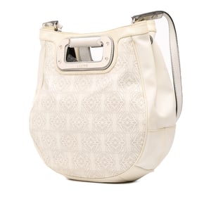 Hobo Bag