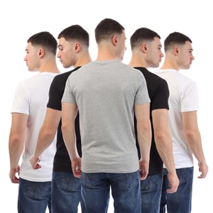Duck and Cover Herr Caplaz Ärmttryck T-shirt (5-pack) (Flerfärgad)