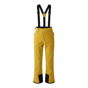 Dare 2B Mens Achieve II Ski Trousers (Gold Flake)
