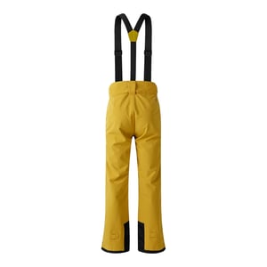 Dare 2B Mens Achieve II Ski Trousers (Gold Flake)