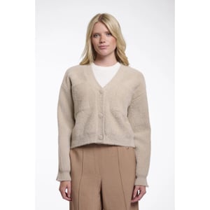 Rino & Pelle Isarea.5002621 rino&pelle short v-neck cardigan stone