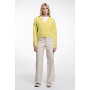 Rino & Pelle Isarea.5002621 rino&pelle short v-neck cardigan breezy lime