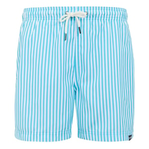Regatta Heren Loras Gestreepte Zwemshort (Waterman Blauw)
