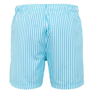 Regatta Heren Loras Gestreepte Zwemshort (Waterman Blauw)