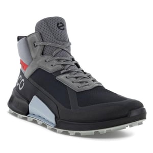 ECCO 823804 biom