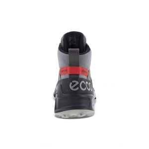 ECCO 823804 biom