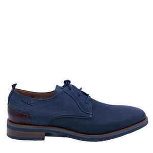 Van Lier 28654