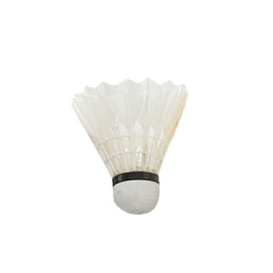 Rucanor Badminton shuttles